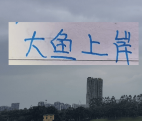 北京国安也是外援大结局了！来了德甲中卫，还有澳超冠军边锋