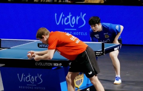 德甲版王者打新手村，樊振东26分钟横扫对手，豪格却觉得大意了