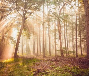 朱婷在意甲联赛单场斩获三十八分