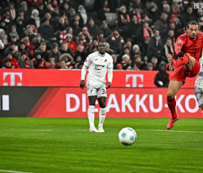 拜仁VS霍芬海姆 赛事分析