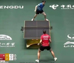 加盟德甲的樊振东,因吴敬平的一句话实现口碑暴涨