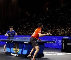 樊振东德甲渐入佳境，卡林离任，国际乒联岗位大调，丹顿专职WTT