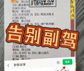 德甲:云达不来梅VS霍芬海姆,专家最新推荐比分预测