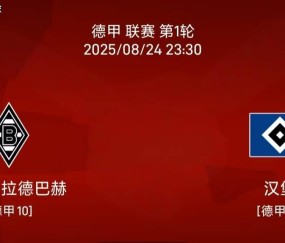 8.24 德甲联赛:门兴vs汉堡比赛分析