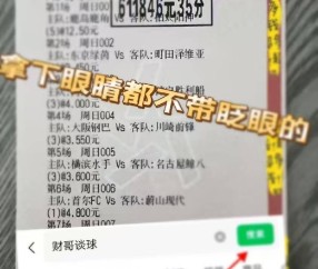 德甲：霍芬海姆VS柏林联合,专家推荐比分预测