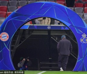 凯恩续约拜仁：从英超之星到德甲传奇的蜕变之路