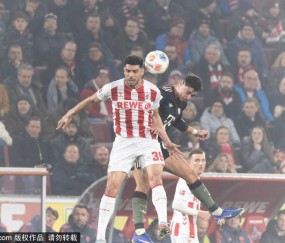 德甲争夺战白热化：霍芬海姆2-0不莱梅，莱比锡痛失良机，欧冠资格悬念重重