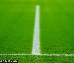 榜首大战!阿森纳冲击连胜,埃弗顿主场欲复仇