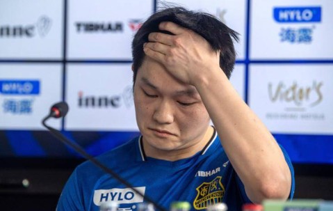 波尔不再沉默！透露樊振东加盟德甲一大好处，提升球技只是一方面