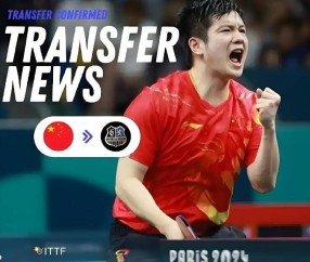 樊振东欧冠首秀“开门红”!俱乐部超好条件挽留,续约可能性很大