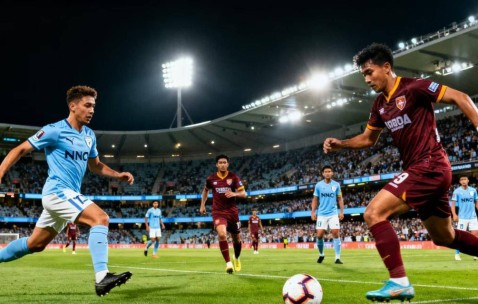 11.25今日足球推荐【扫盘24场】精选各大赛事，供大家参考