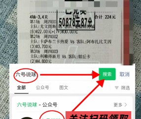 法甲:斯特拉斯堡VS洛里昂,最新专家比分预测