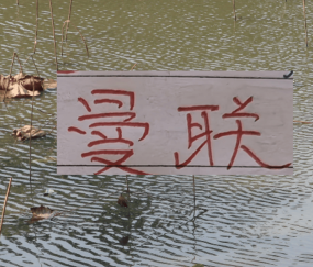 有排面！U23国足上了《新闻联播》 曼联B费再次入选英超单轮MVP