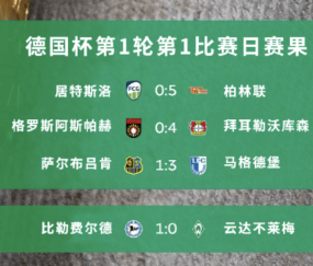 果然！德甲不莱梅杯赛爆冷了！比勒菲1-0击败不莱梅，7连胜
