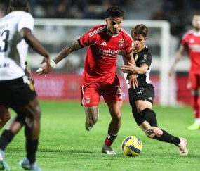 葡超：本菲卡状态正佳，法马利康能否全身而退？本菲卡VS法马利康