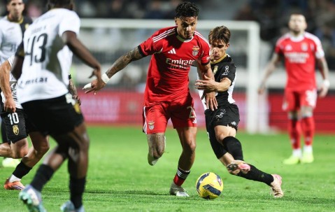 葡超：本菲卡状态正佳，法马利康能否全身而退？本菲卡VS法马利康