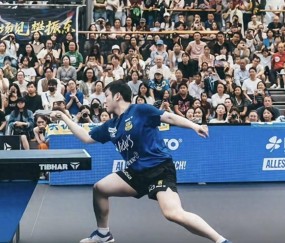 樊振东横扫豪格，赛后举动太暖心！没想到小胖又创造了欧冠新纪录