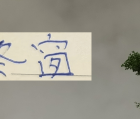 今年中超算是回光! 居然有德甲+意甲球员加盟联赛